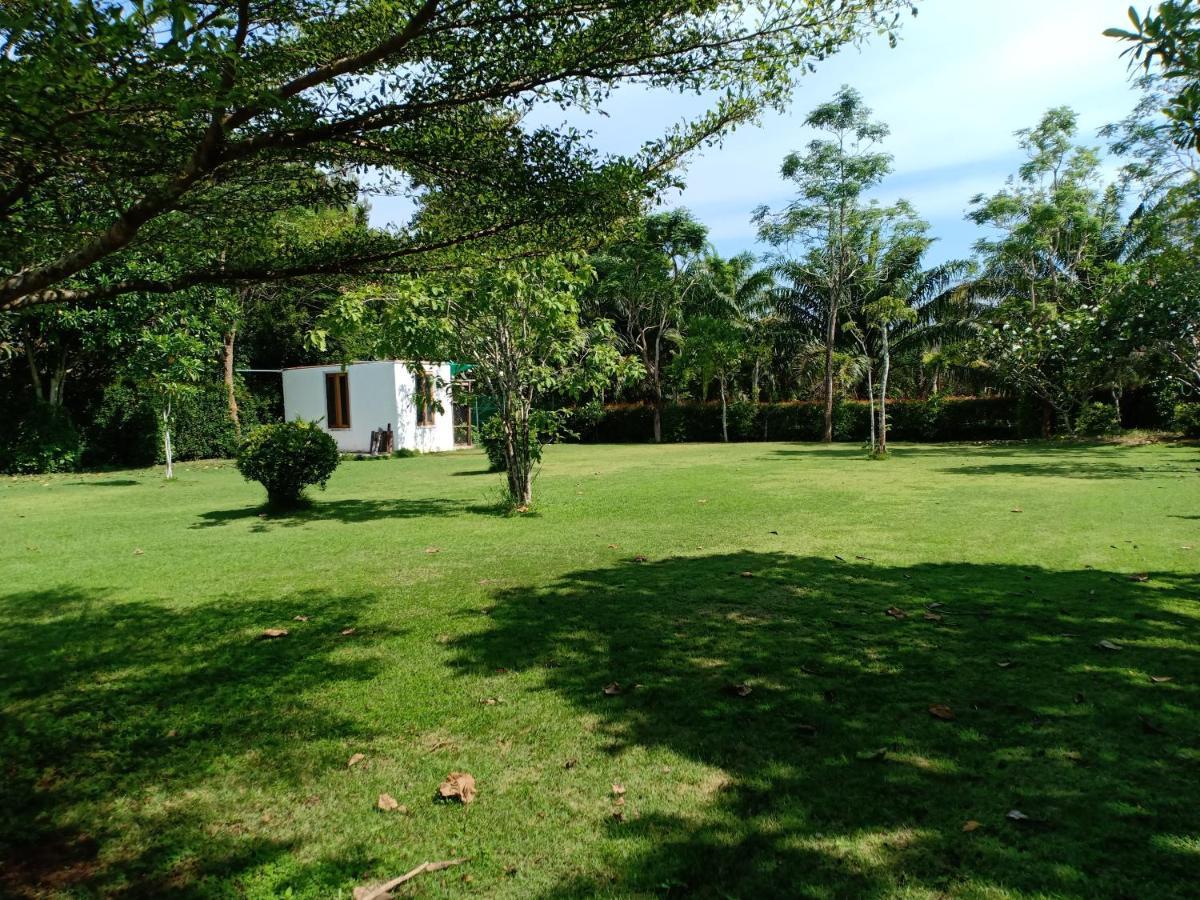 Mem Homestay Chumphon Eksteriør bilde