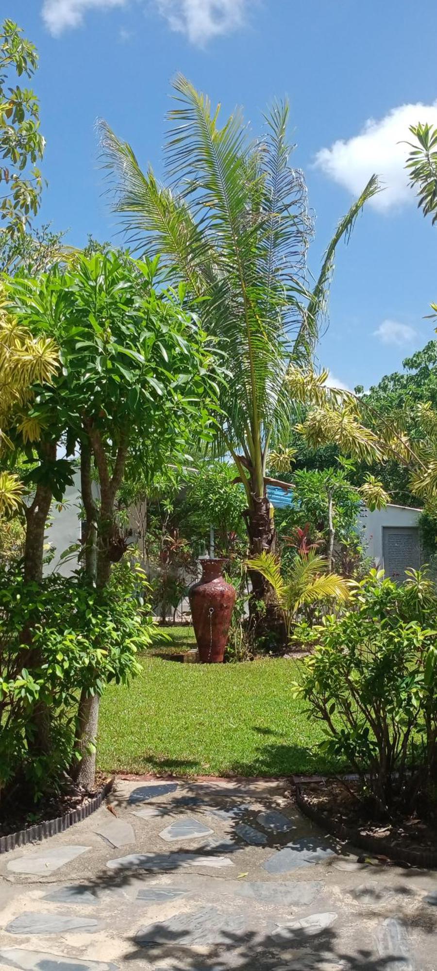 Mem Homestay Chumphon Eksteriør bilde